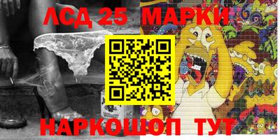 гидра Дубна