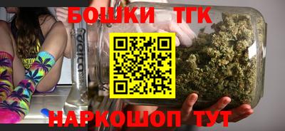 гидра Дубна